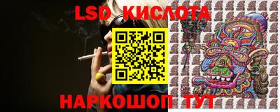 индика Кандалакша