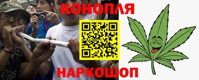 индика Кандалакша
